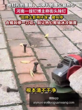 拜仁签约,岁法国新星,中锋,爱游戏app,爱游戏官网,爱游戏体育app