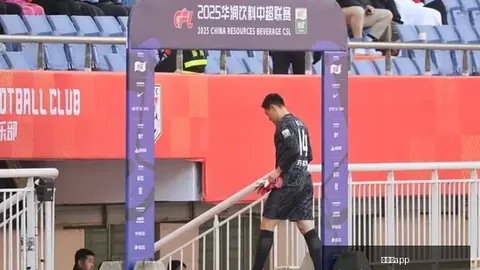 拜仁签约17岁法国新星中锋：今夏转会市场不再引进前锋攻略